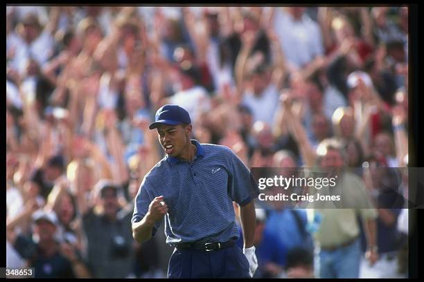 Tiger Woods celebrates after making a hole in one during the Phoenix Open at the TPC of Scottsdale in Scottsdale, Arizona. Mandatory Credit: Craig...