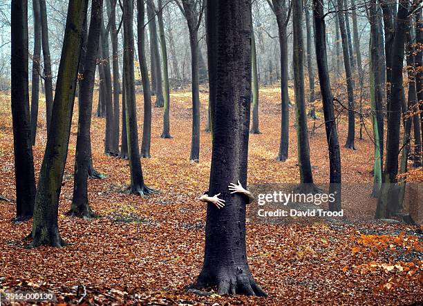 person hugging tree - respect stockfoto's en -beelden