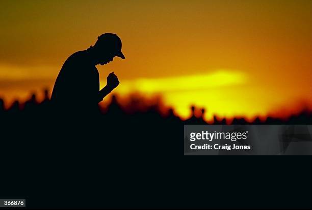 Silhouetted Tiger Woods celebrates during the Phoenix Open at the TPC of Scottsdale in Scottsdale, Arizona.