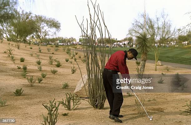 Tiger Woods swings after the boulder was moved during the Phoenix Open at the TPC at Scottsdale in Scottsdale, Arizona.