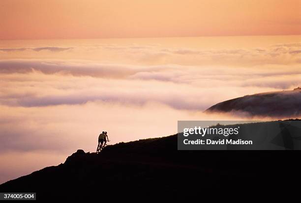 silhouette of cyclists riding tandem along top of hill at sunset - tandem bicycle foto e immagini stock