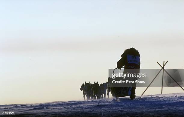 Paul Gebhardt mushes his dogs through the snow during the Iditarod Trail Race in Alaska. Mandatory Credit: Ezra O. Shaw /Allsport