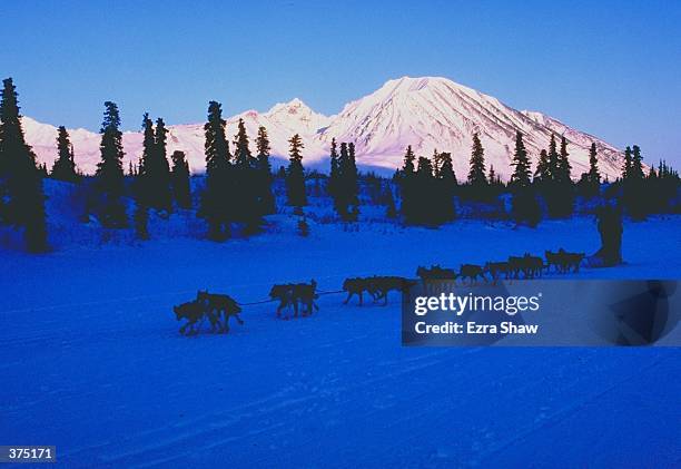 General view of team of dogs running through the rainy pass during the Iditarod Trail Race in Alaska. Mandatory Credit: Ezra O. Shaw /Allsport