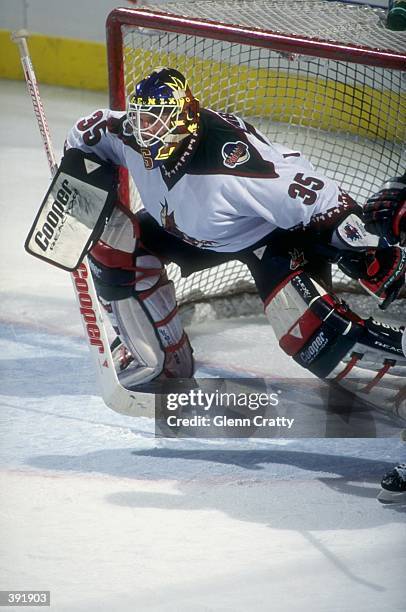 Goaltender Nikolai Khabibulin of the Phoenix Coyotes in action during a game against the Toronto Maple Leafs at the America West Arena in Phoenix,...