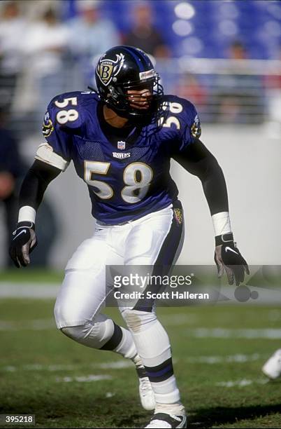 508 1998 Baltimore Ravens Photos & High Res Pictures - Getty Images
