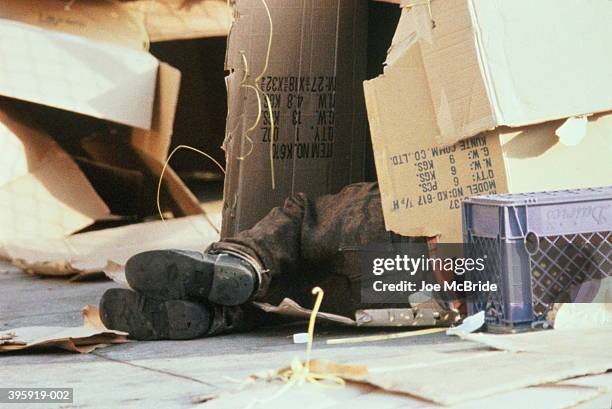 feet of homeless person sleeping in cardboard box - homelessness stock pictures, royalty-free photos & images