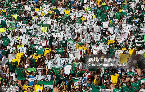 Fans of Palmeiras during the match between Palmeiras and Boa Esporte for the Brazilian Championship Series B 2013 at Pacaembu Stadium on November 16,...