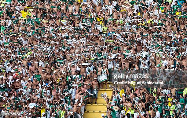 Fans of Palmeiras during the match between Palmeiras and Boa Esporte for the Brazilian Championship Series B 2013 at Pacaembu Stadium on November 16,...