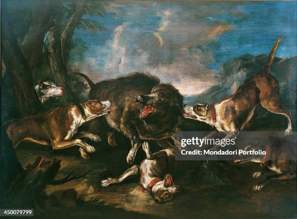 Wild boar hunt , by Giovanni Crivelli known as Crivellino 18th Century, oil on canvas.