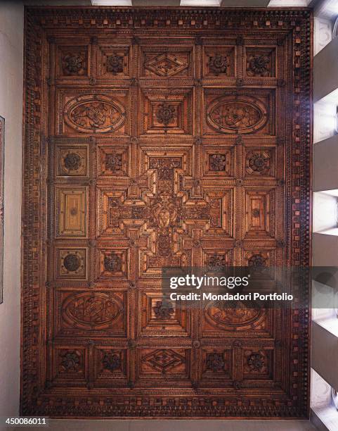 Villa Farnese, ceiling of the Great Hall , by Barozzi Jacopo known as Vignola 16th Century, carved cypress wood, 14 x 21 m.