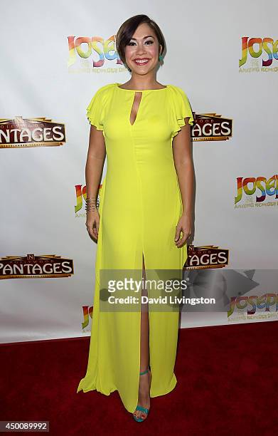 Actress Diana DeGarmo attends Los Angeles opening night of "Joseph and the Amazing Technicolor Dreamcoat" at the Pantages Theatre on June 4, 2014 in...