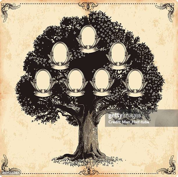 ilustraciones, imágenes clip art, dibujos animados e iconos de stock de árbol genealógico - abuelos y nietos