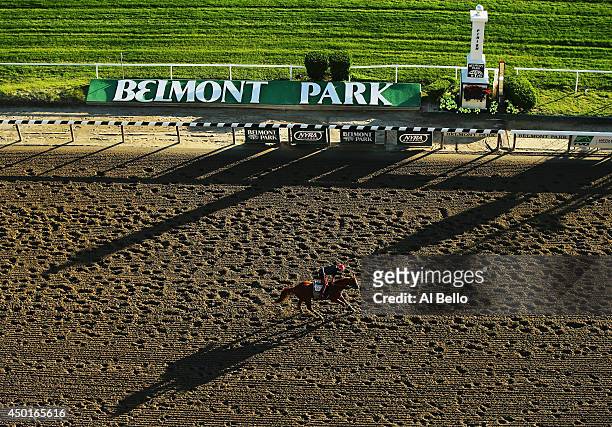Kentucky Derby and Preakness winner California Chrome, with exercise rider Willie Delgado up, trains on the main track at Belmont Park on June 6,...