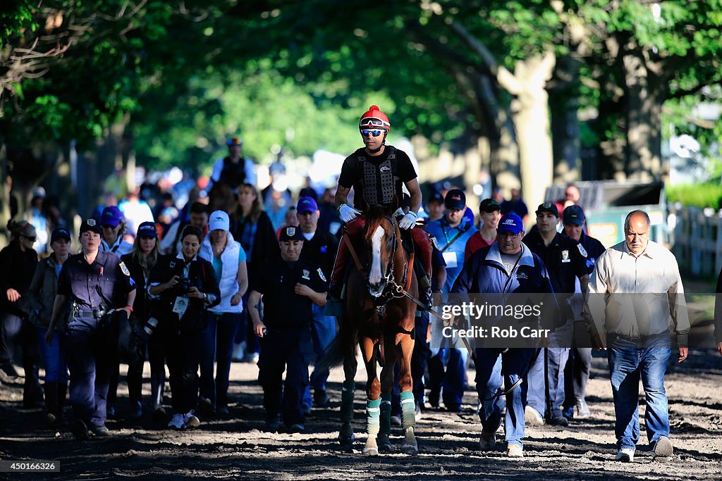 Belmont Stakes 2014 - Previews