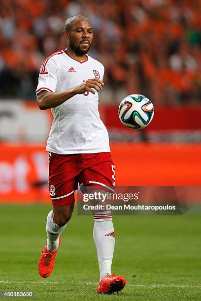 Daniel Gabbidon of Wales in action during the International Friendly match between The Netherlands and Wales at Amsterdam Arena on June 4, 2014 in...