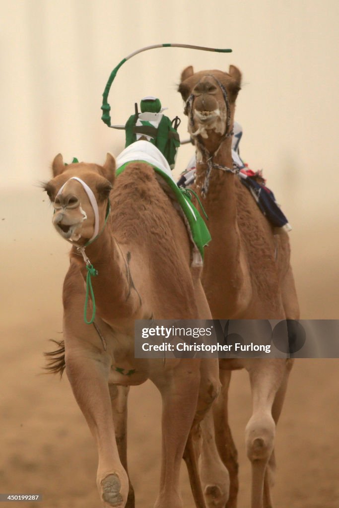 Cama Racing Club A robotic jockey whips a camel at Dubai Camel Racing Club during the ...