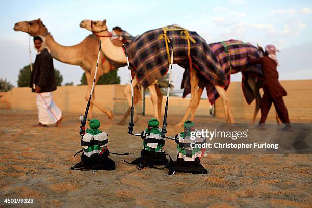 Cama Racing Club Dubai Camel Racing Club Photos and Premium High Res Pictures - Getty Images
