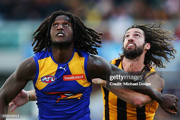 Matt Spangher of the Hawks competes for the ball against Nic Naitanui of the Eagles during the round 12 AFL match between the Hawthorn Hawks and the...