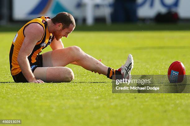 Jarryd Roughead of the Hawks grabs his leg in pain after a contest during the round 12 AFL match between the Hawthorn Hawks and the West Coast Eagles...