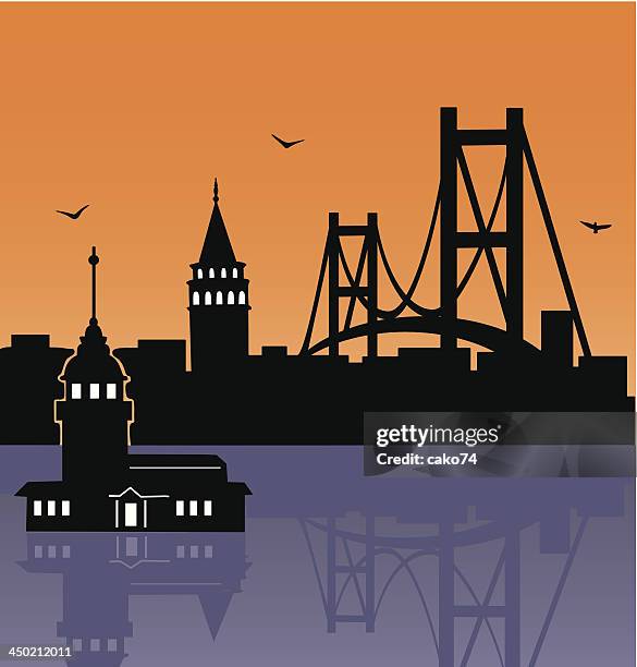 stockillustraties, clipart, cartoons en iconen met istanbul - bridge illustration