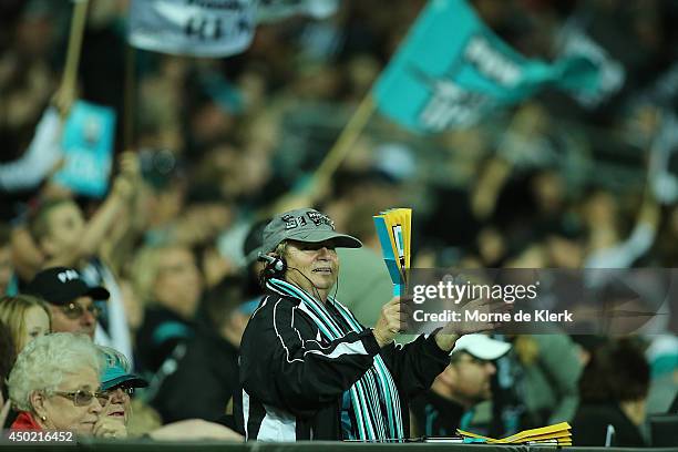 Spectators enjoy the atmosphere during the round 12 AFL match between the Port Adelaide Power and the St Kilda Saints at Adelaide Oval on June 7,...