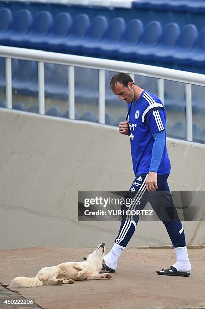 Bosnia-Herzegovina's goalkeeper Asmir Avdukic looks at a dog as he arrives for a training session at the Antonio Fernandez Stadium in Guaruja on June...