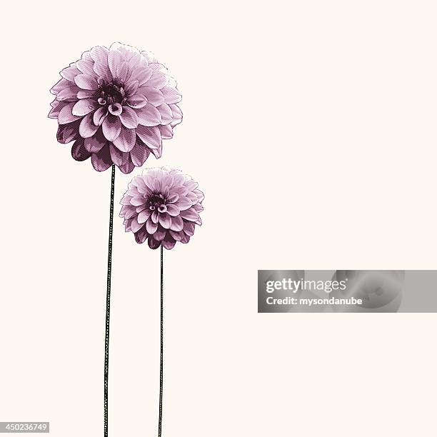 vector engraved flowers background - peony stock illustrations