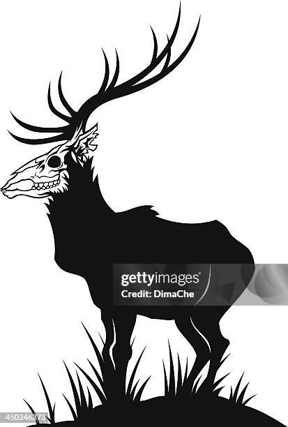 dead head deer - deer skull stock illustrations