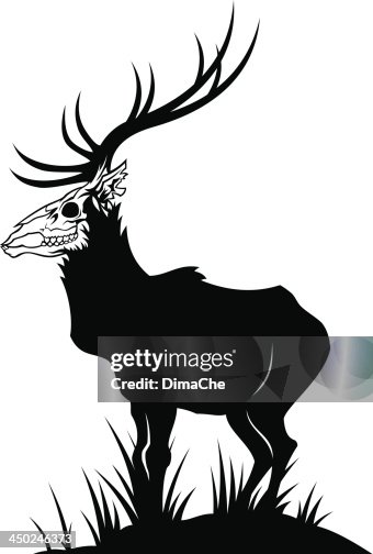 Dead head deer Dead head deer