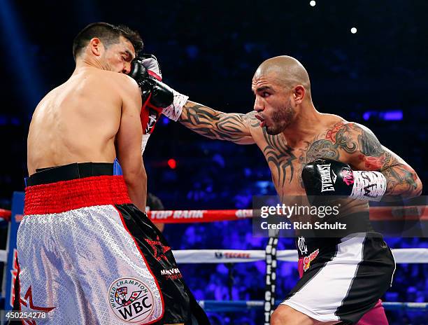 Miguel Cotto of Puerto Rico lands a right punch to the face of Sergio Martinez of Argentina during the first round as they battle for the WBC...