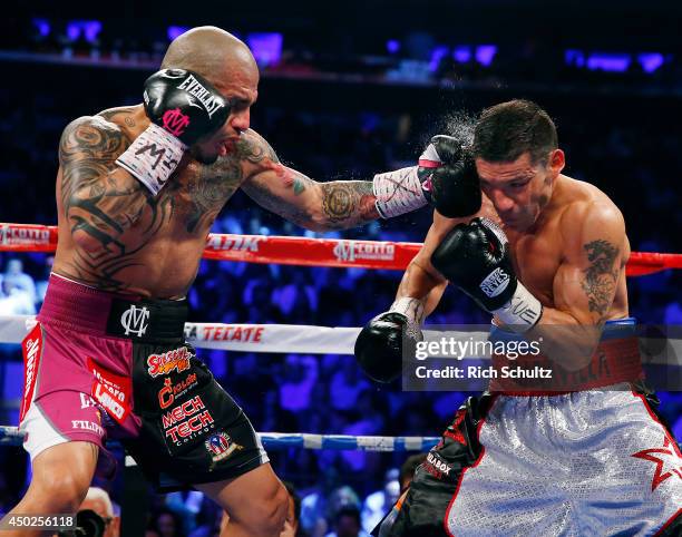 Miguel Cotto of Puerto Rico lands a left punch to the head of Sergio Martinez of Argentina during the third round of the WBC Middleweight...