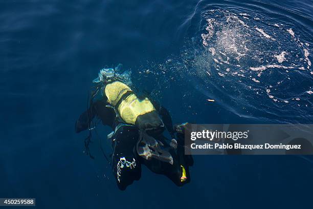 Fisherman dives to pick up nets from underwater as they prepare to fish bluenfin tunas during the end of the Almadraba tuna fishing season on June 3,...