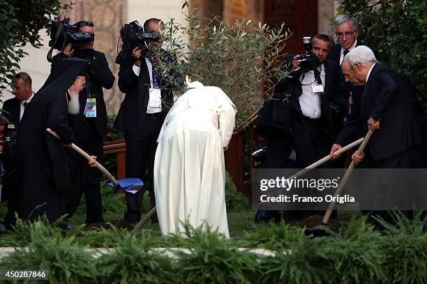 Pope Francis , Israeli President Shimon Peres , Palestinian President Mahmoud Abbas and Patriarch Bartholomaios I plant an olive tree during a peace...