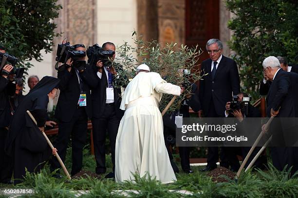 Pope Francis , Palestinian President Mahmoud Abbas and Patriarch Bartholomaios I plant an olive tree during a peace invocation prayer at the Vatican...