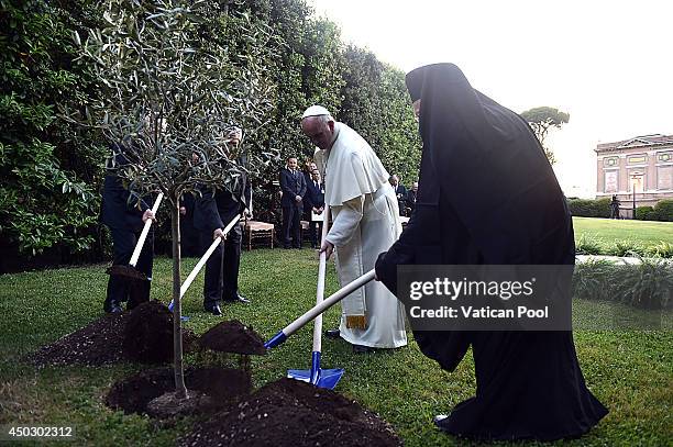 Pope Francis , Israeli President Shimon Peres , Palestinian President Mahmoud Abbas and Patriarch Bartholomaios I plant an olive tree during a peace...