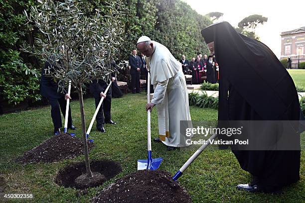 Pope Francis , Israeli President Shimon Peres , Palestinian President Mahmoud Abbas and Patriarch Bartholomaios I plant an olive tree during a peace...