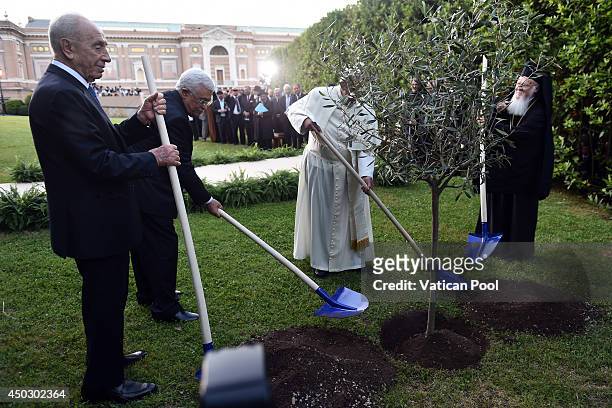 Pope Francis , Israeli President Shimon Peres , Palestinian President Mahmoud Abbas and Patriarch Bartholomaios I plant an olive tree during a peace...