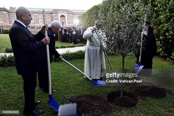 Pope Francis , Israeli President Shimon Peres , Palestinian President Mahmoud Abbas and Patriarch Bartholomaios I plant an olive tree during a peace...