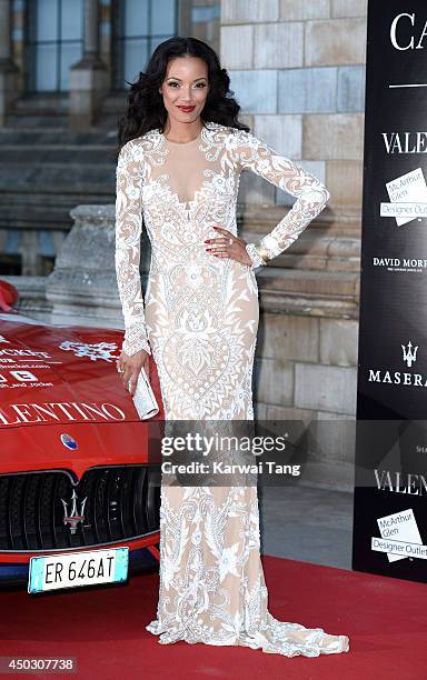 Selita Ebanks attends a gala dinner and auction to celebate the end of the Cash & Rocket tour at Natural History Museum on June 8, 2014 in London,...