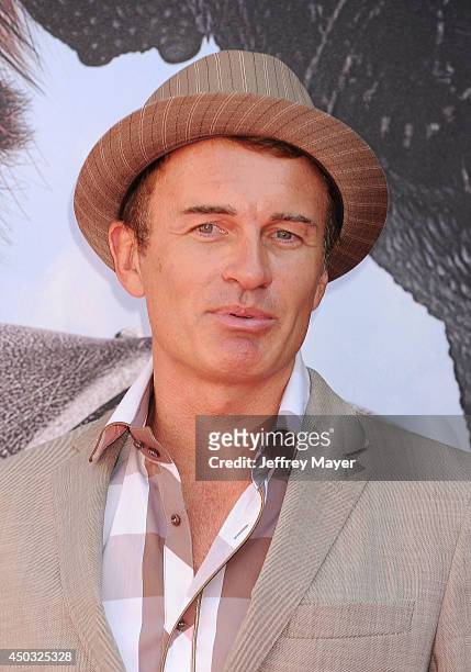 Actor Julian McMahon arrives at the Los Angeles premiere of 'How To Train Your Dragon 2' at the Regency Village Theatre on June 8, 2014 in Westwood,...