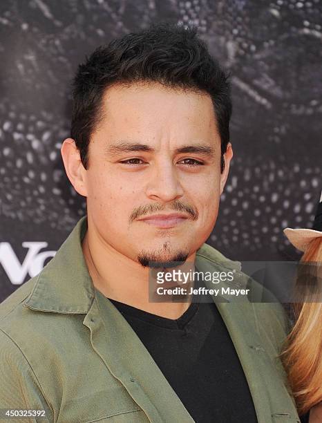 Actor Jesse Garcia arrives at the Los Angeles premiere of 'How To Train Your Dragon 2' at the Regency Village Theatre on June 8, 2014 in Westwood,...