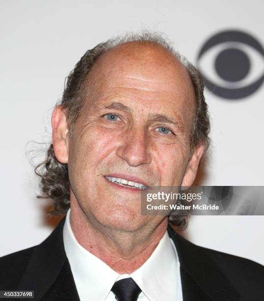 Steven Canyon attends American Theatre Wing's 68th Annual Tony Awards at Radio City Music Hall on June 8, 2014 in New York City.