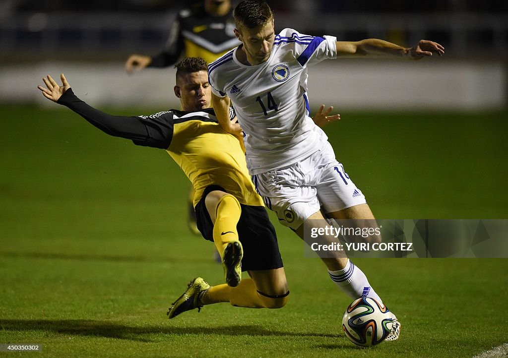 FBL-WC-2014-BIH-SANTOS-FRIENDLY