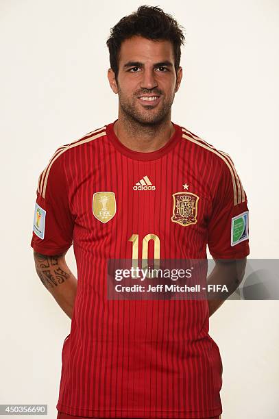 Cesc Fabregas of Spain poses during the official Fifa World Cup 2014 portrait session on June 9, 2014 in Curitiba, Brazil.
