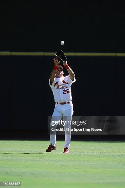 Eli Marrero of the St. Louis Cardinals during the game against the Arizona Diamondbacks at Busch Stadium on September 25, 2002 in St. Louis, Missouri.