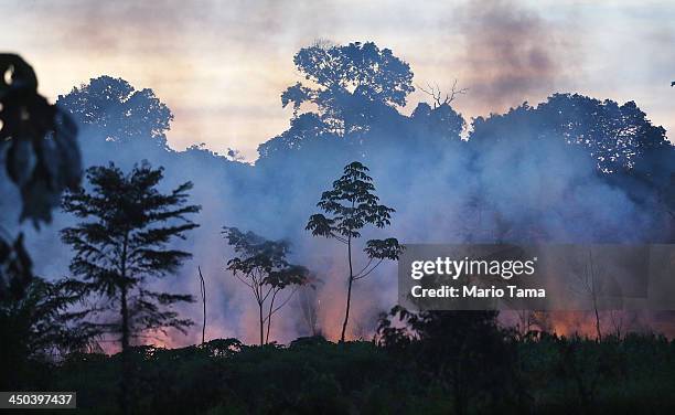 Fire burns in a deforested section along the Interoceanic Highway in the Amazon lowlands on November 16, 2013 in Madre de Dios region, Peru. Fires...