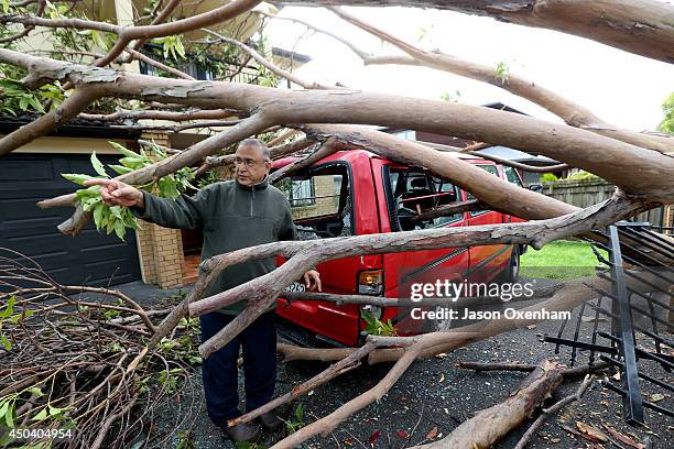 Pravindra Singh surveys the damage from a fallen tree on his property and vehicle on Terry Street, Blockhouse Bay on June 11, 2014 in Auckland, New...