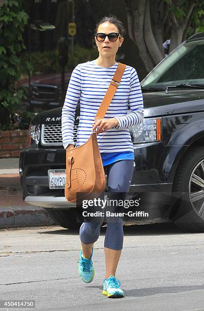 Jordana Brewster is seen on June 09, 2014 in Los Angeles, California.