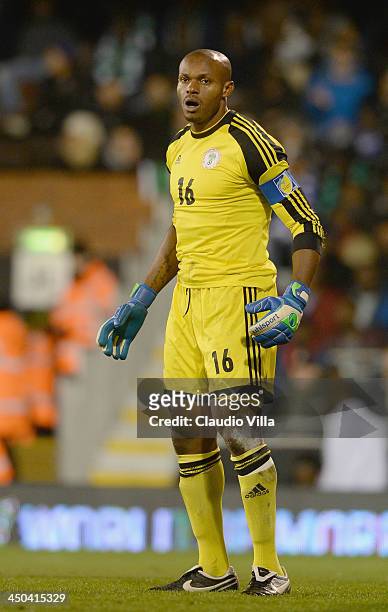 Austine Ejide of Nigeria during the international friendly match between Italy and Nigeria at Craven Cottage on November 18, 2013 in London, England.