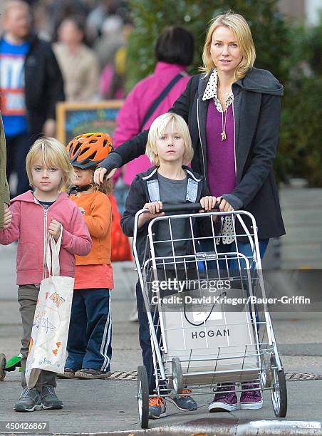 November 18: Naomi Watts and her sons, Sasha Schreiber and Samuel Schreiber, are seen shopping at Whole Foods on November 18, 2013 in New York City.